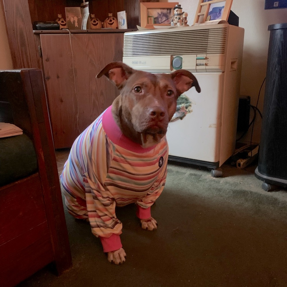 Deborah and Goldie 🐾Bookmark my closet full of vintage eclectic goodies! - Picture 3 of 5